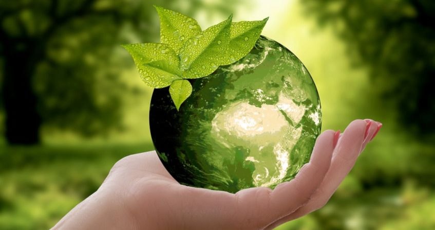 Cover What role AR play in meeting environmental challenges?